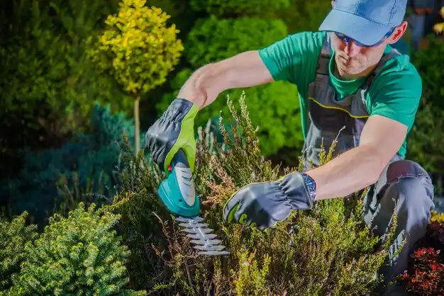 landscaping services Haynesville